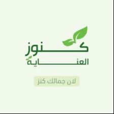 شركة الحل الأخير الأمنية