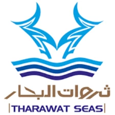 شركة الحل الأخير الأمنية