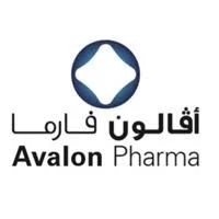 شركة الحل الأخير الأمنية