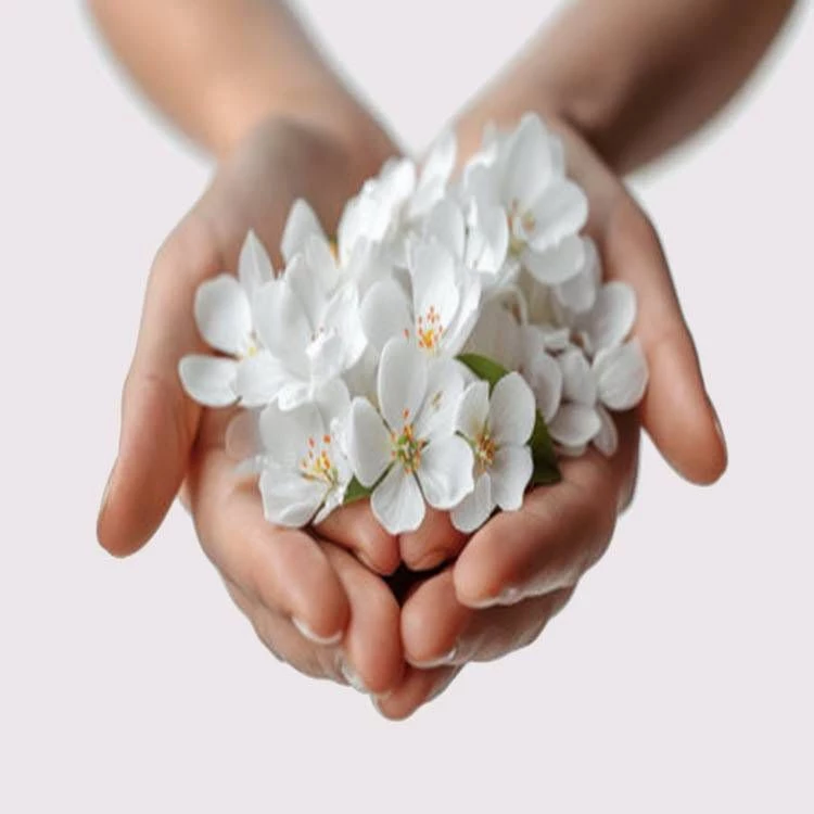 التجميل النسائي